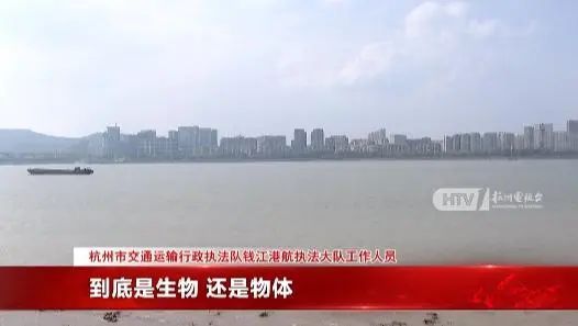 钱塘江水面疑似出现高速不明物：可能超5米人生就是博-尊龙凯时江西天降火球未头绪(图1)